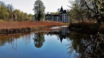 Body Of Water Reflection Tree