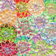 dahlia flower colorful art collage