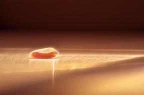 Outdoors Nature Sunset