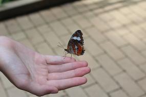 Outdoors Nature Summer