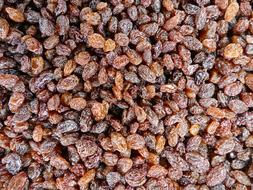 dried sweet raisins