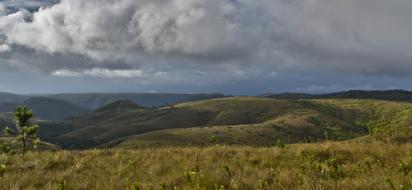 Mountain'S Belize Grass