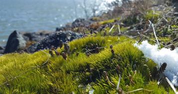 Nature Waters Landscape