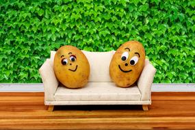 Couch Potatoes Organic