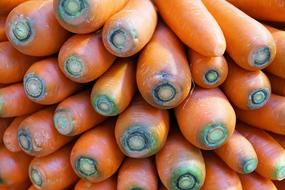 sweet carrots harvest fresh