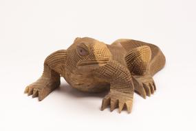 Varano Lizard Nature