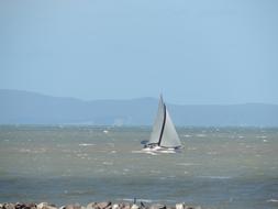 Water Sail Sea