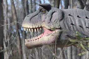 Dinosaur Nature Animals