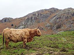 highlander eskdale landscape