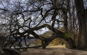Island Of Mainau Lake Constance