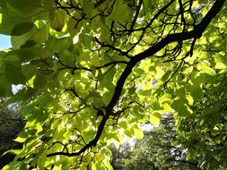 Beauty Nature Autumn