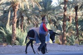 Morocco Wilderness Boy