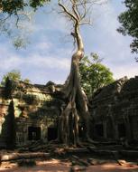 Cambodia Prohm Ta