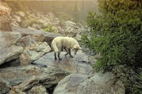 Nature Stone Outdoors