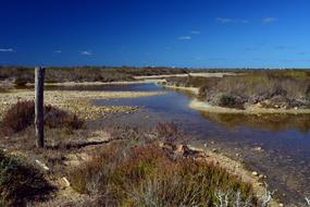Lakes Landscape Nature