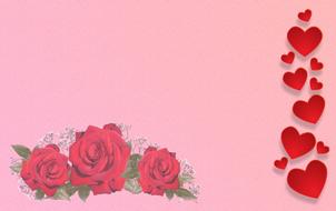 flowers red pink background