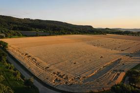 Agriculture Cornfield Cereals