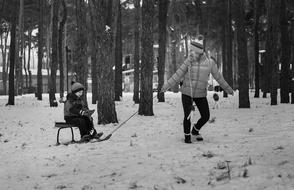 Black and white landscape with the kids with the sledge, among the snowy park in the winter