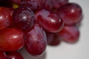 red delicious berries