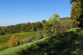 Autumn Sun Edge Of The Woods