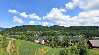 Nature Panoramic Tree