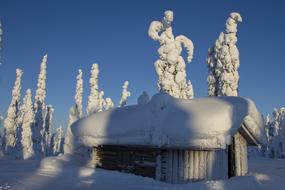 Lapland Winter Snow