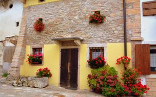 Facade Flowers Windows