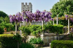 Garden Flower Architecture Blue