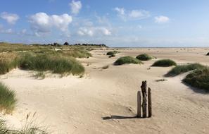Amrum Sand Landscape