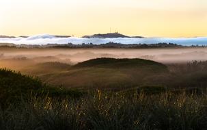 Oregon Sand Dunes