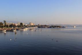 boats on water at coastal city