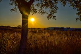 Sunset Nature Dawn