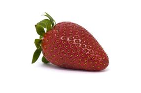 Sweet lonely strawberries on a white background