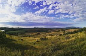 Landscape Summer Nature