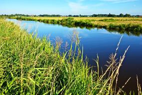 Waterway Grassy Banks Meadows