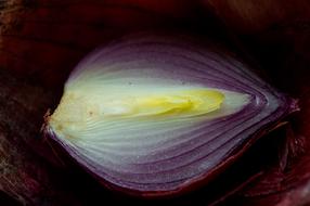 half an onion