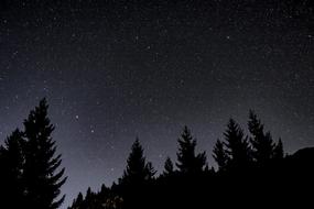 Night Starry Sky view