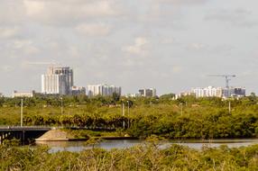 City Scape Cityscape