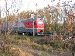 Railway Rails The Way