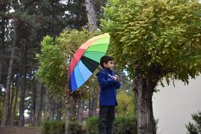 Tree Nature Outdoor Wood-Fibre