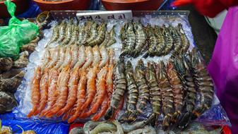 fresh shrimp on the table