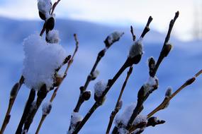 The Basis Of At Court Sky