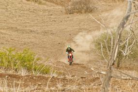 Motocross Forest