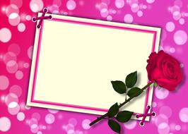design card texture red rose bokeh