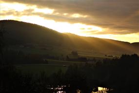 Klaffer Autumn Tree Deciduous