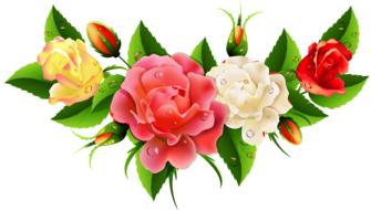 flower the leaves butterfly