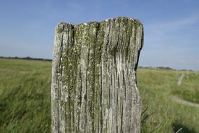 Nature Grass Landscape