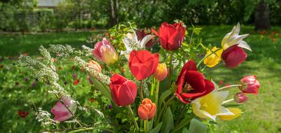 Flower Nature Garden