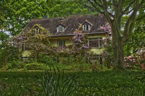 House Architecture Rural