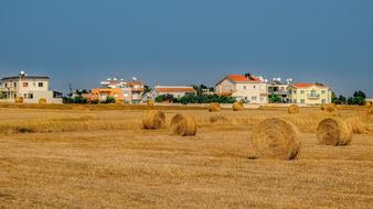 Agriculture Farm Straw